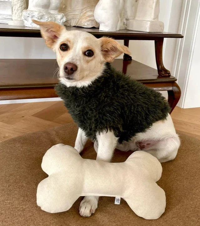 Bone Pillow