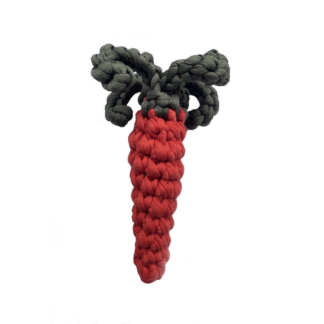 Handmade Carrot Toy