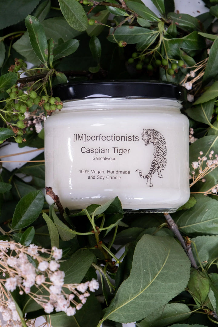 Caspian Tiger Candle Sandalwood