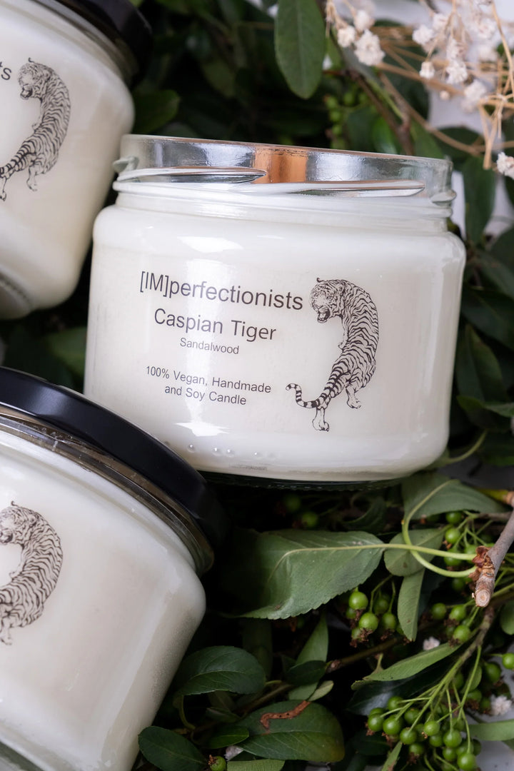 Caspian Tiger Candle Sandalwood