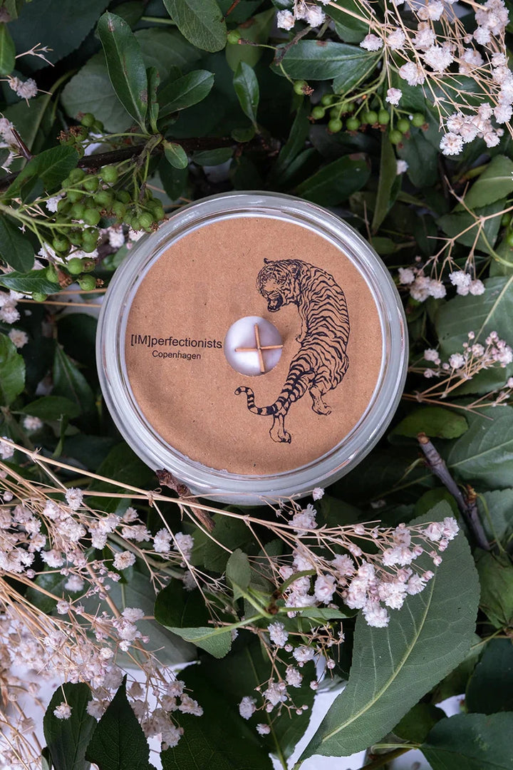 Siberian Tiger Candle Gardenia