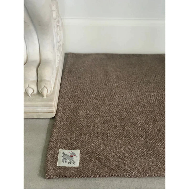 Sandy Blankie