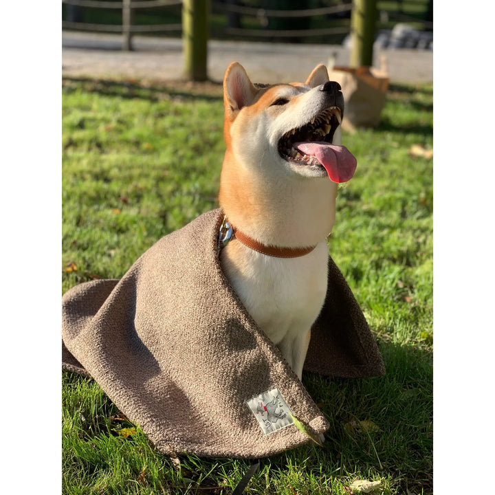 Sandy Blankie