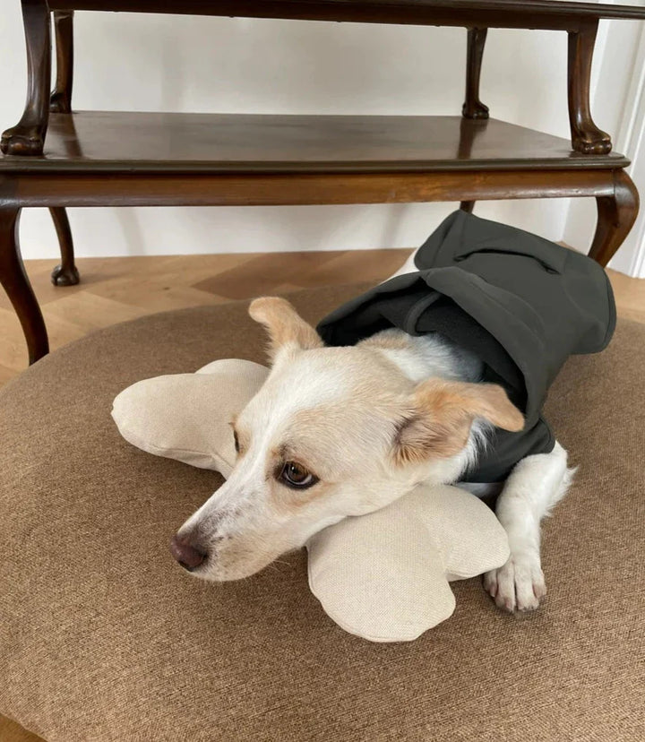 Bone Pillow