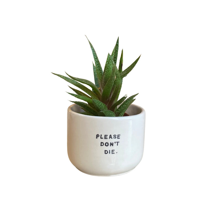 Mood Flower Pot