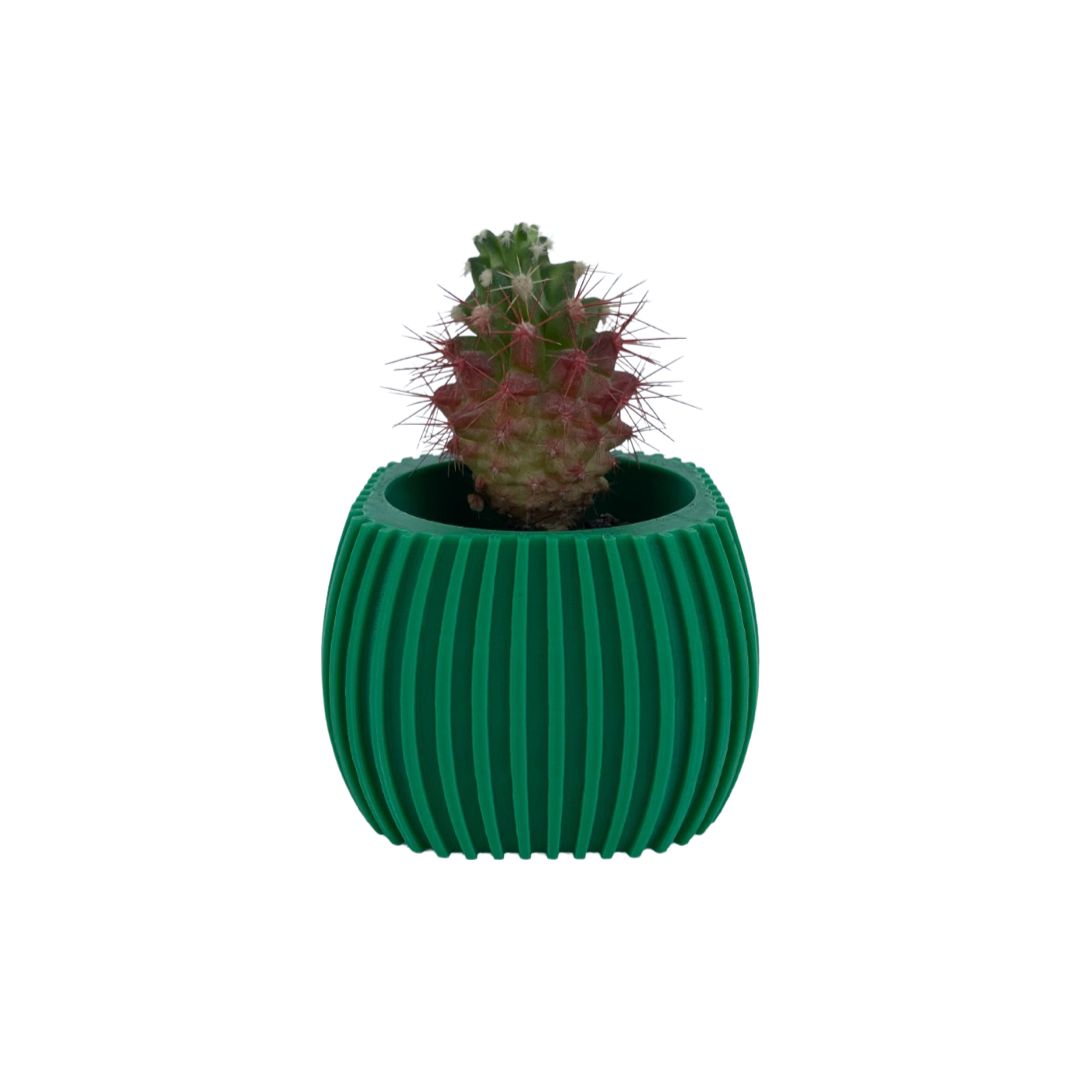 Bartolome Pot Mini