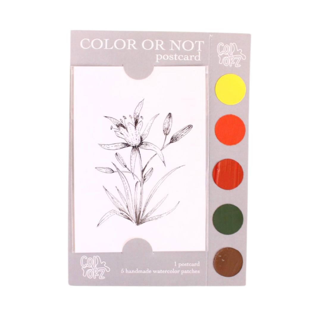 Color or Not Postcard Narcissus Flower