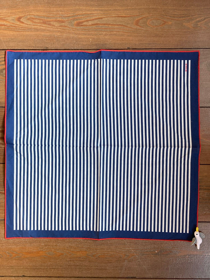 Striped Scarf with Seagull Detail