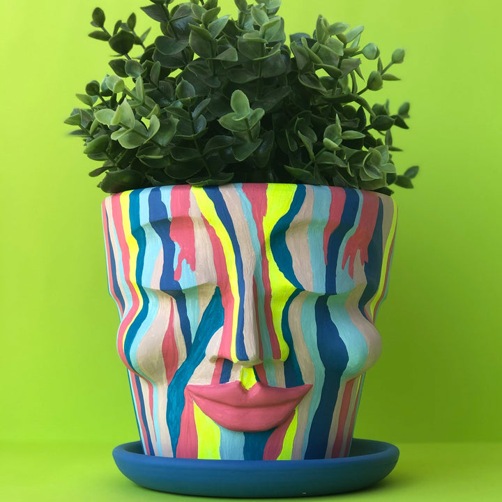 Multi-Colored Zebra-Patterned Head Pot