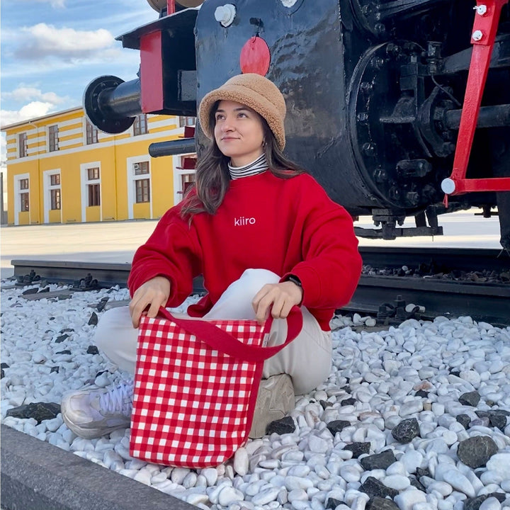 Red Gingham Bag