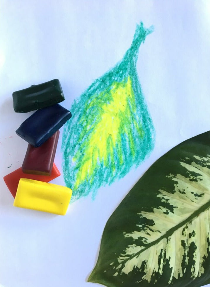 Hard Wax Block Pastel Set